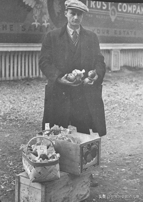 1931年,《纽约时报》记者弗朗西丝··麦克马伦对纽约的苹果供应商