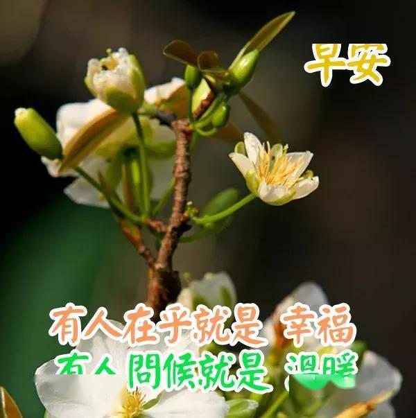 早晨亲切的问候早安祝福语图片表情大全