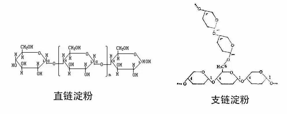 越软黏越致命年糕如何变成独居老人的顶级杀手