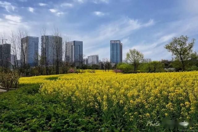 遇见春天里的六安