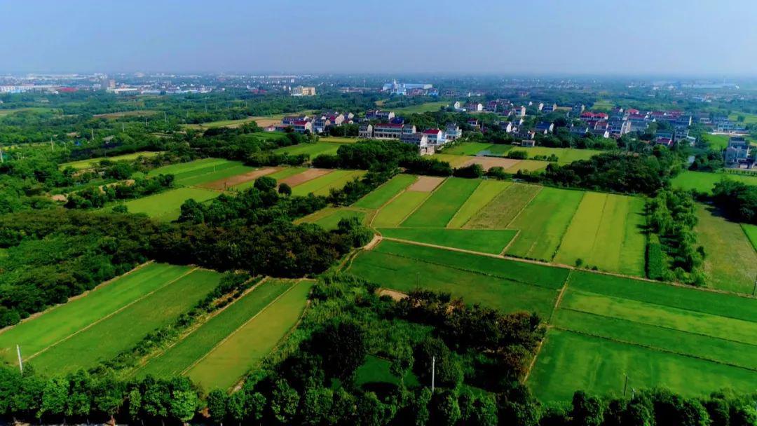 工业农业同步发力!湟里镇奏响春日复工"协奏曲"