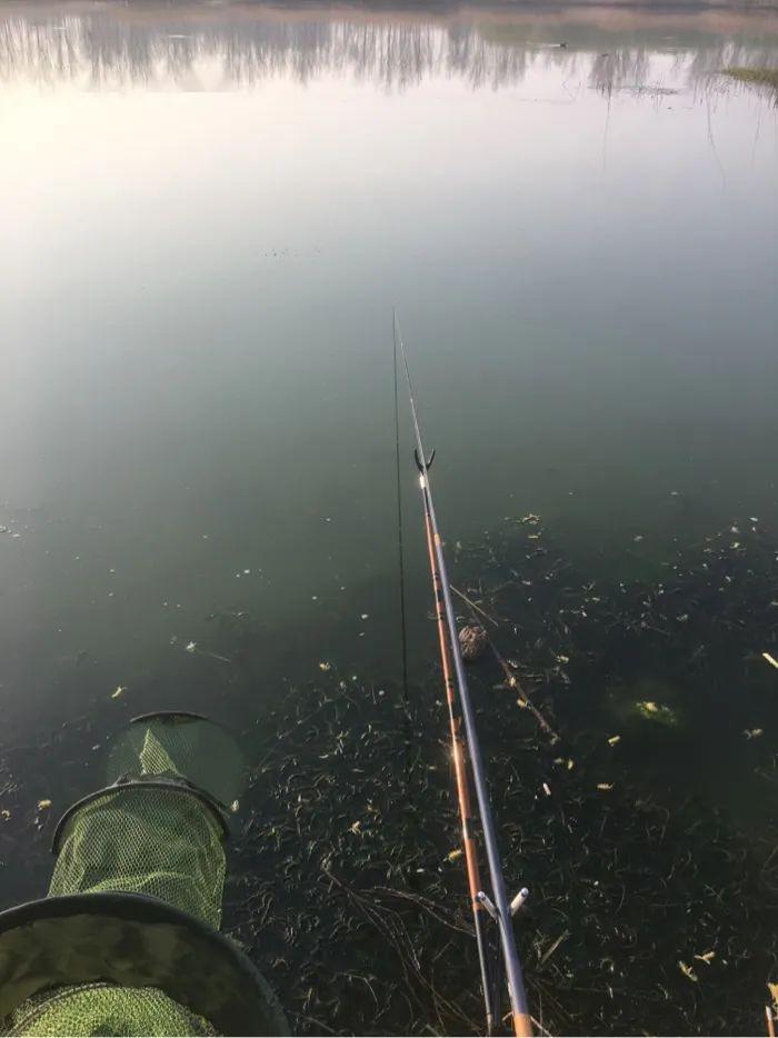 底钓口少改钓离底小爆护