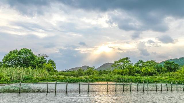 原創在德清下渚湖體驗江南第一扳網捕魚水上竹筏漂流看夕陽太美了