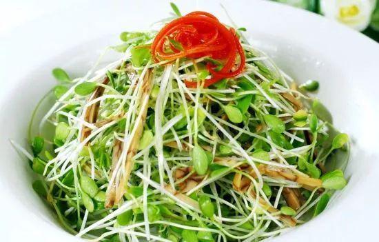 60道养生芽苗菜春食春芽让你吃得美美哒