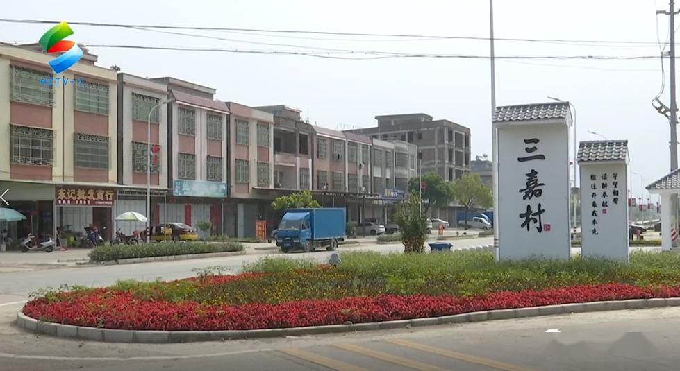 博罗石坝春种藕来夏赏荷小小莲子变成致富金豆豆