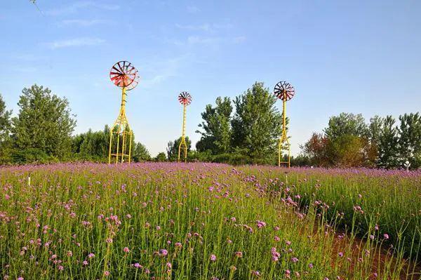 四季如画  景色宜人|鹿泉区十里花廊荣获省级荣誉——人居环境示范奖