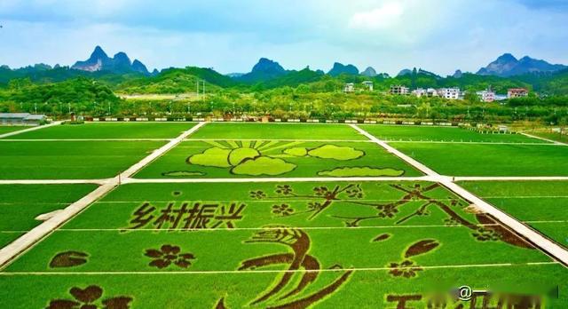 乡村振兴战略如何做好绿色发展规划?_农业
