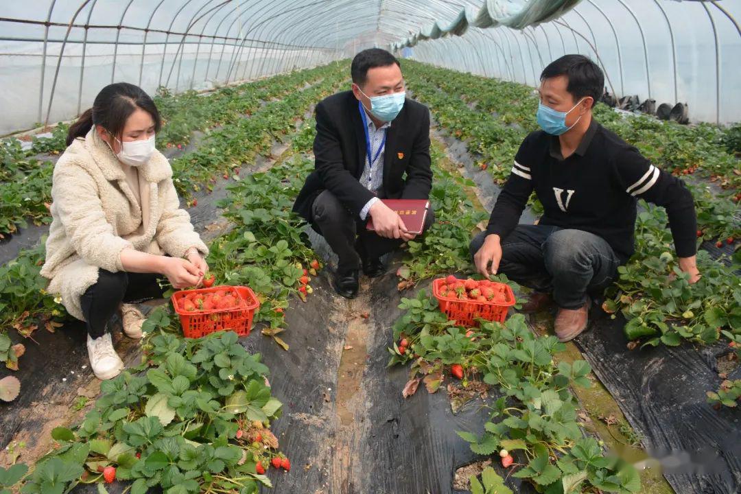 基层商水县张明乡舒庄乡平店乡人大工作信息4则