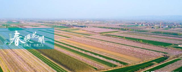 春暖花开稷山县清河镇万亩桃花争奇斗艳竞相绽放