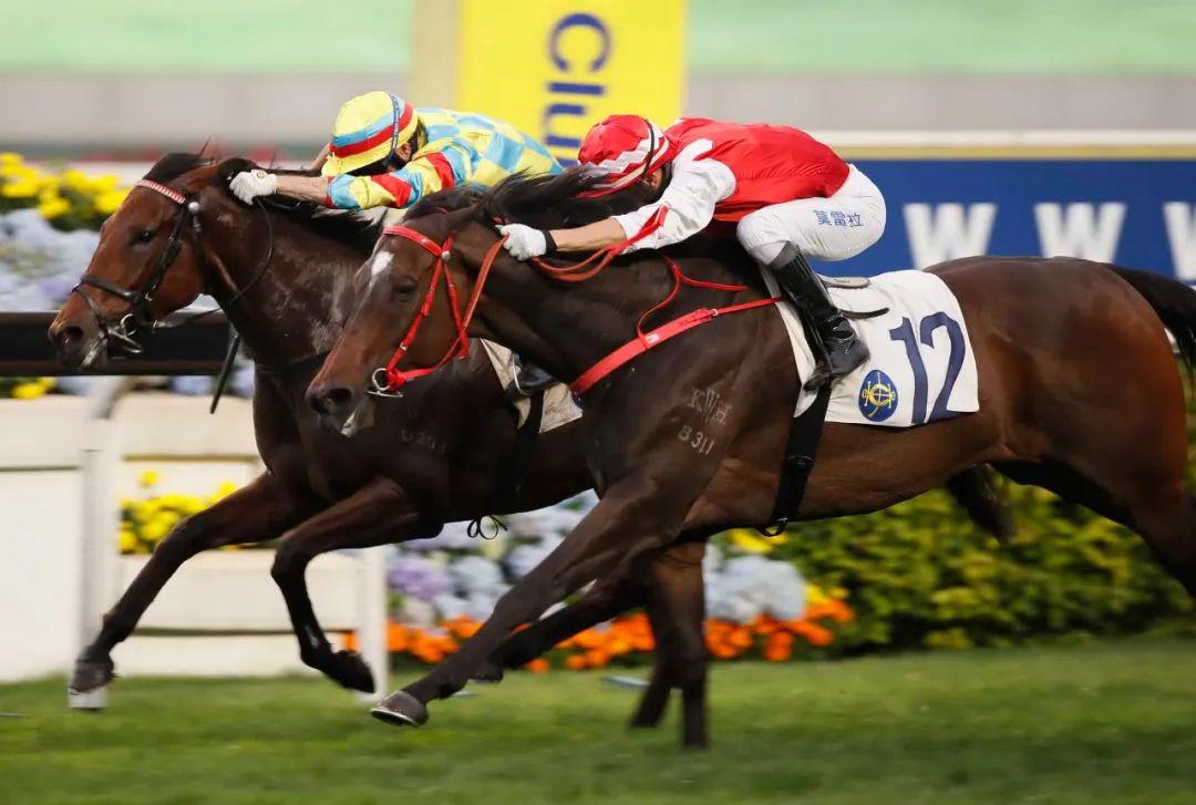 【沙田赛事】莫雷拉豪取5w直闯900w里程