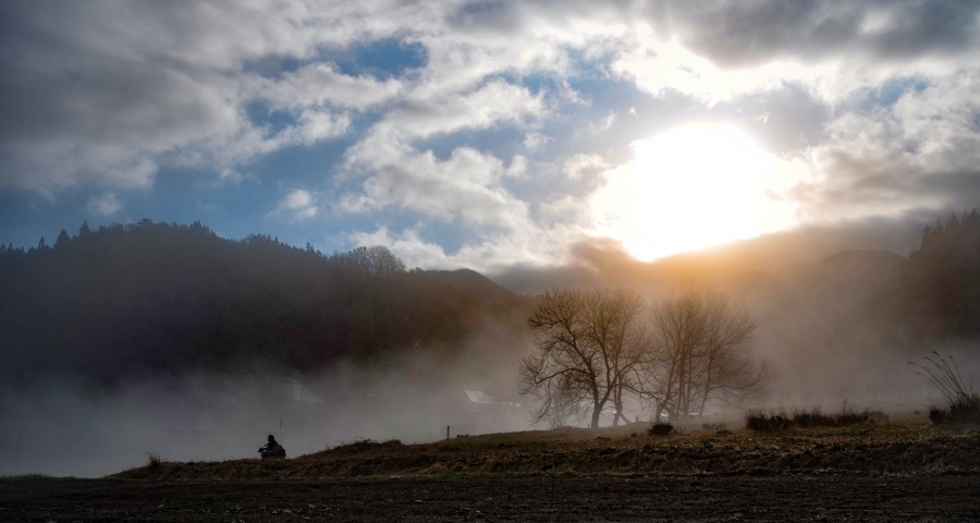 家电业迎政策利好，美的并购海尔定标方太推新长虹转型格兰仕扩招-家电圈官网