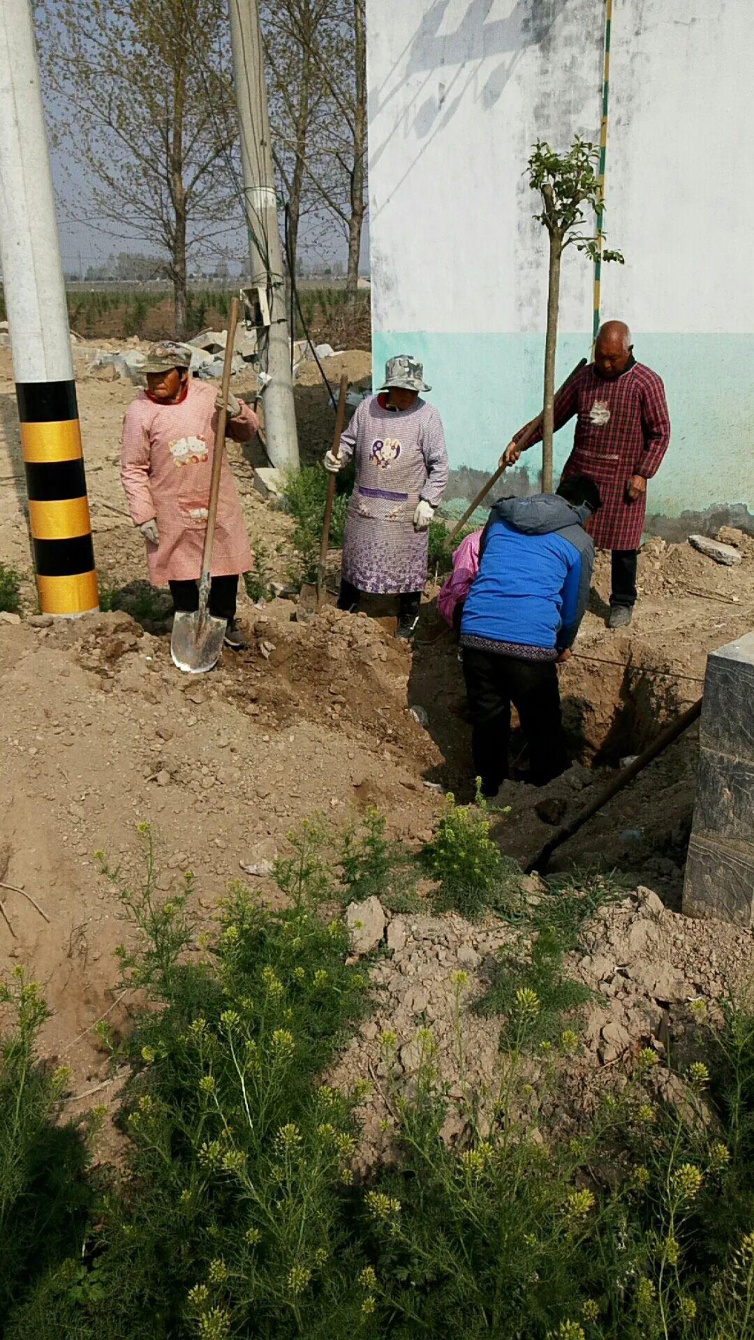 镇党委书记王长海,副书记张丽在大块村入户了解党员联户工作,询问联户