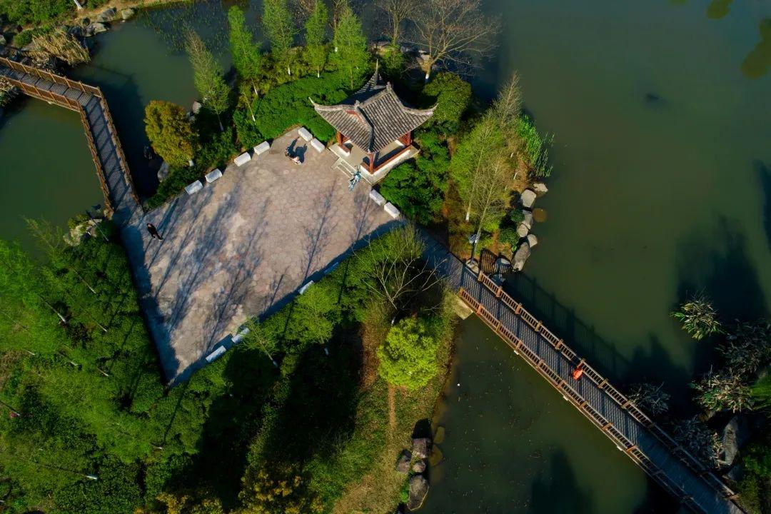 东阳江滨景观带湿地公园与他方的不同之处在于