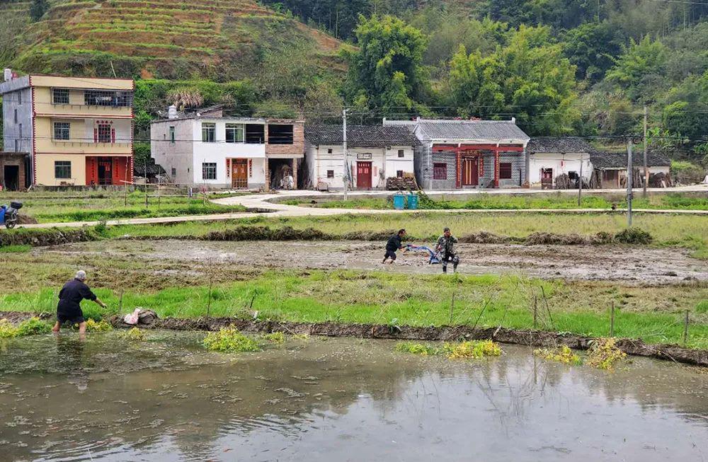 紫阳乡双溪乡平富乡摄影:刘显尧黄爱华邓晓敏张 燕方小玉钟永军