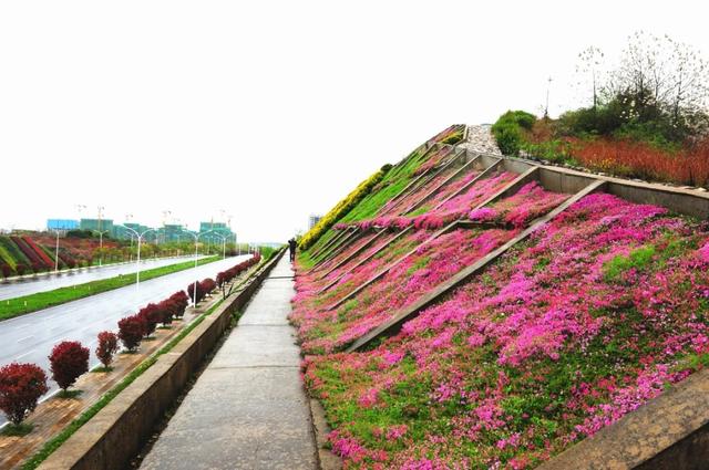 光谷古米山,悄然打翻了大自然的调色板