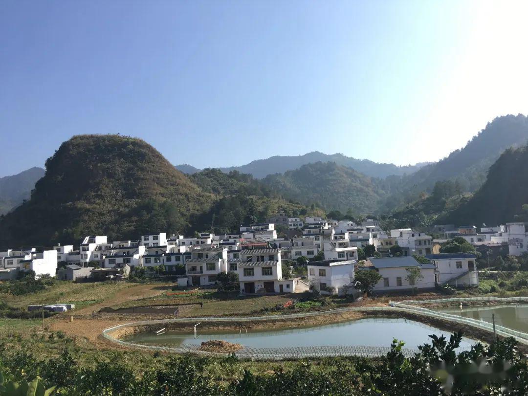 足荣镇:诗画里的乡村振兴_德保