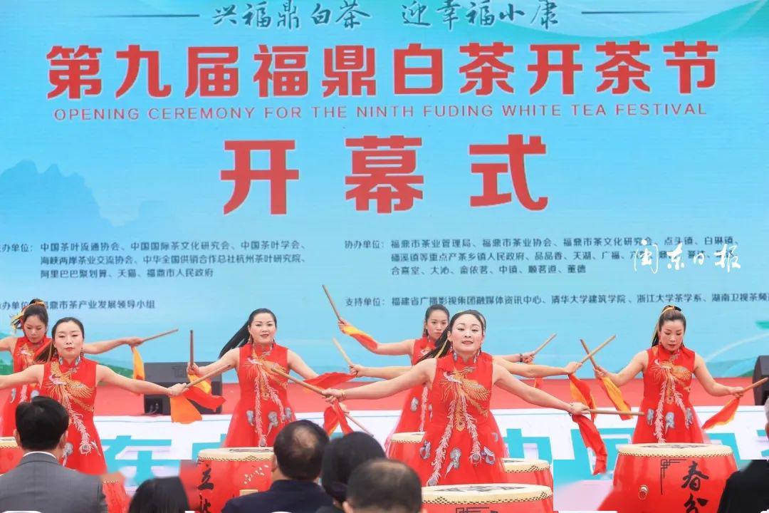 图集丨第九届福鼎白茶开茶节开幕