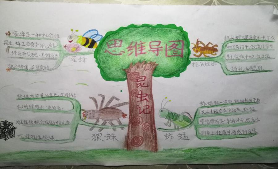 宅家共读 同精彩——三八班"师生共读一本书"线上分享会