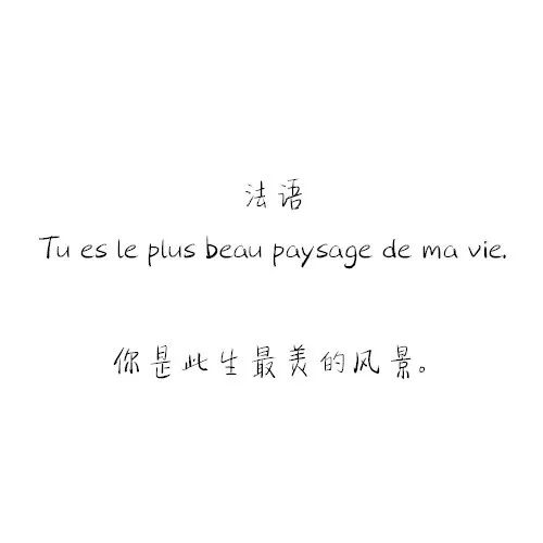 我不是保安也不是憨憨就是馋你的饼干
