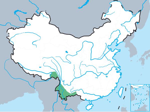 但是原本广泛分布于中华大地的绿孔雀,随着人类的过度捕杀和战乱,移民