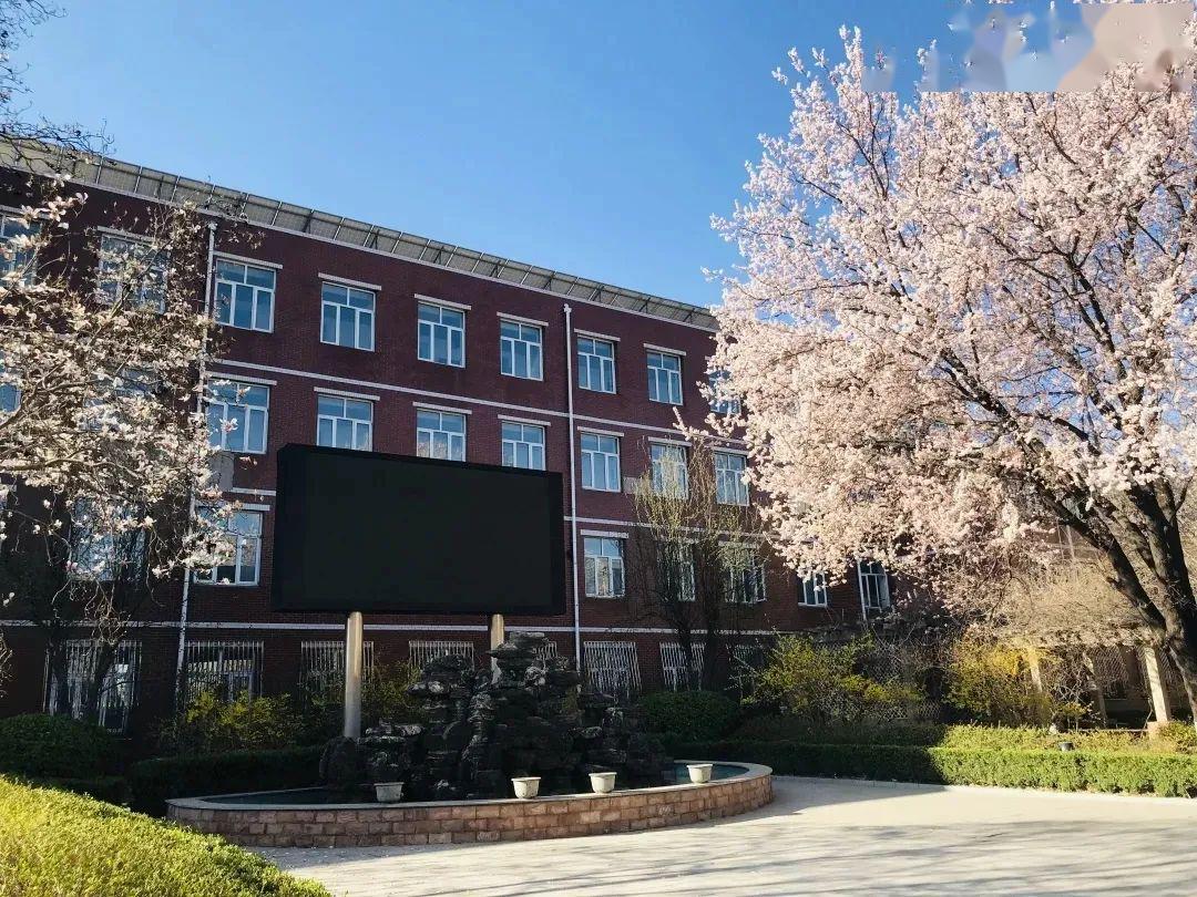 项菲 陈静 田津菁交大附中海淀区北京市朝阳区花家地实验小学黄冈中学