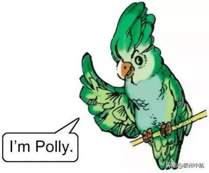 姜堰某人养了只polly被抓了