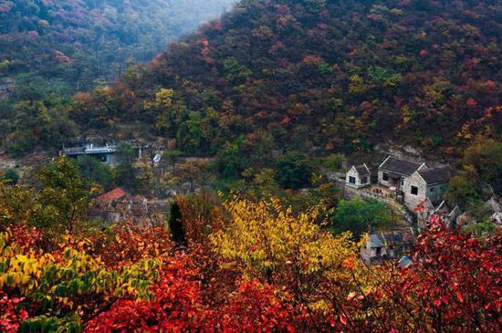 淄博博山,"田园牧歌"式的乡村想象