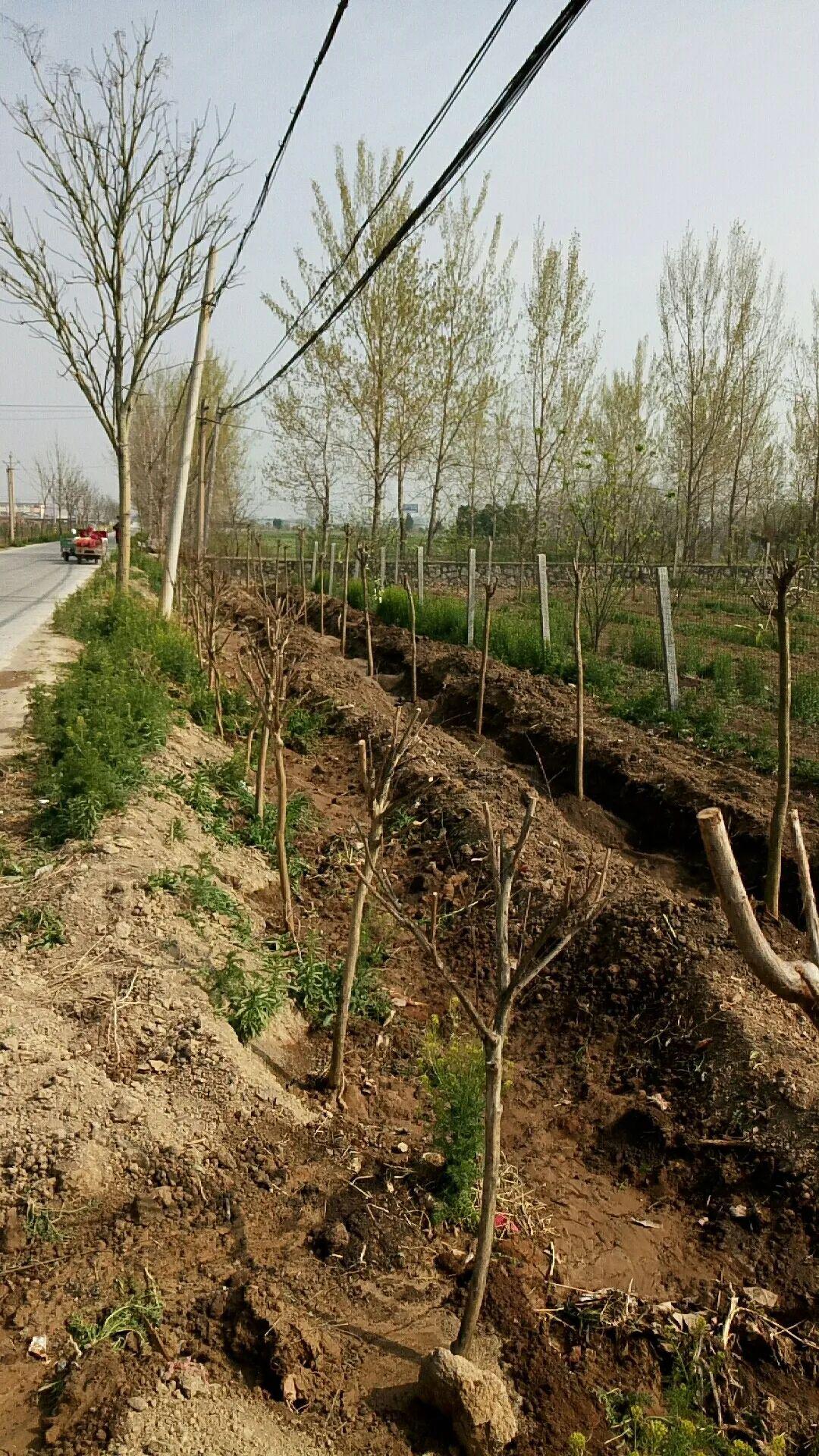 镇党委书记王长海,副书记张丽在大块村入户了解党员联户工作,询问联户