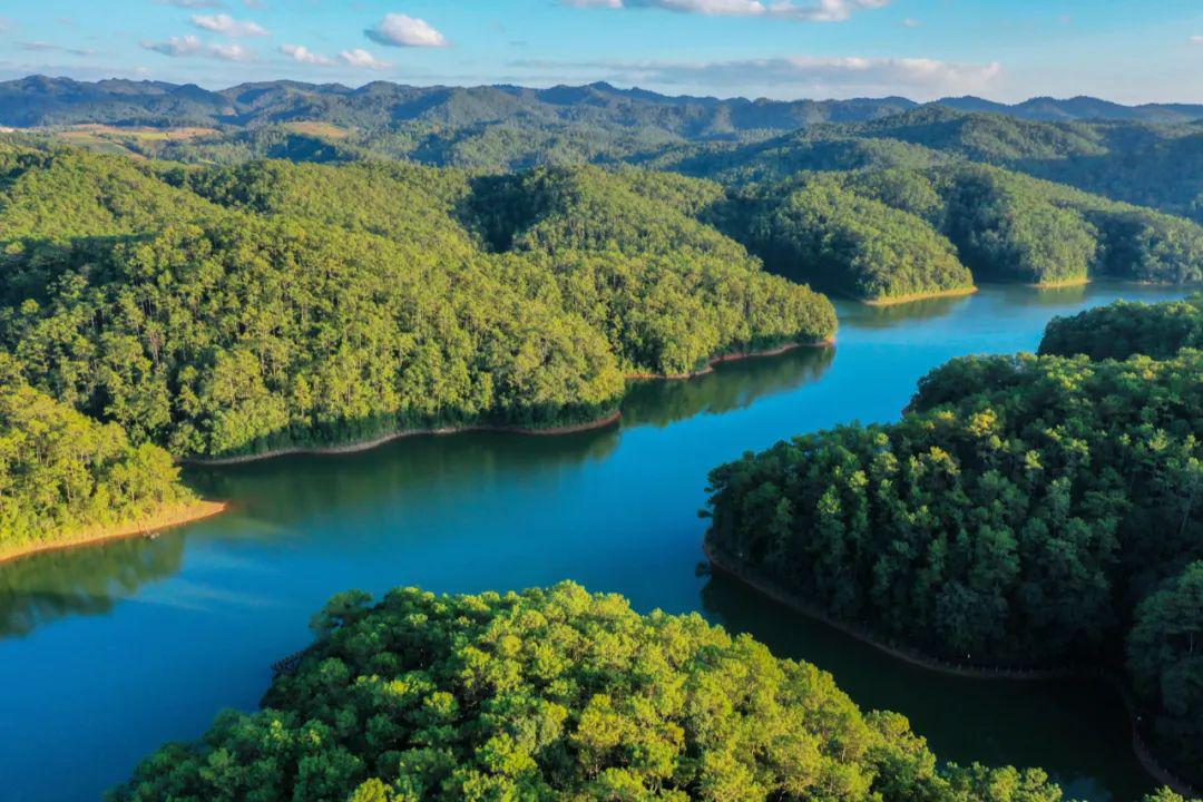 梅子湖公园改造启动明日起公园将暂时封闭