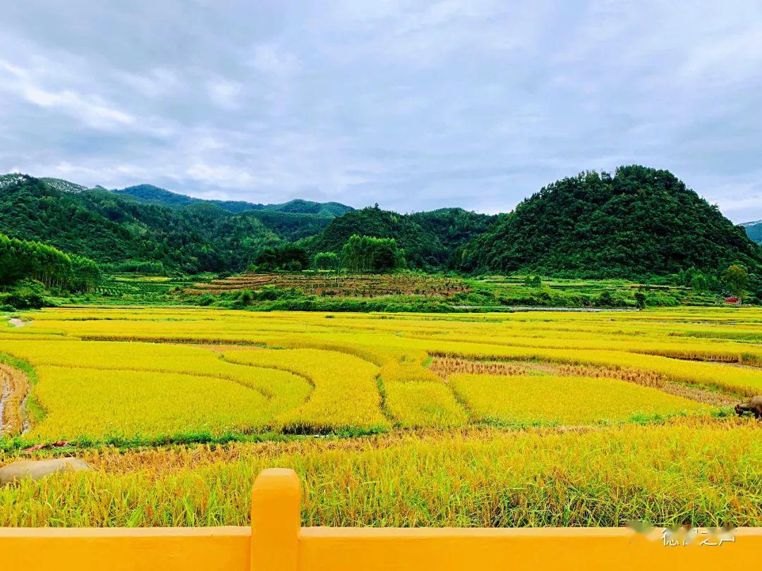 融合"乡村振兴美丽乡村,那亮村枯吕屯乡土特色村屯,足荣村龙写屯幸福