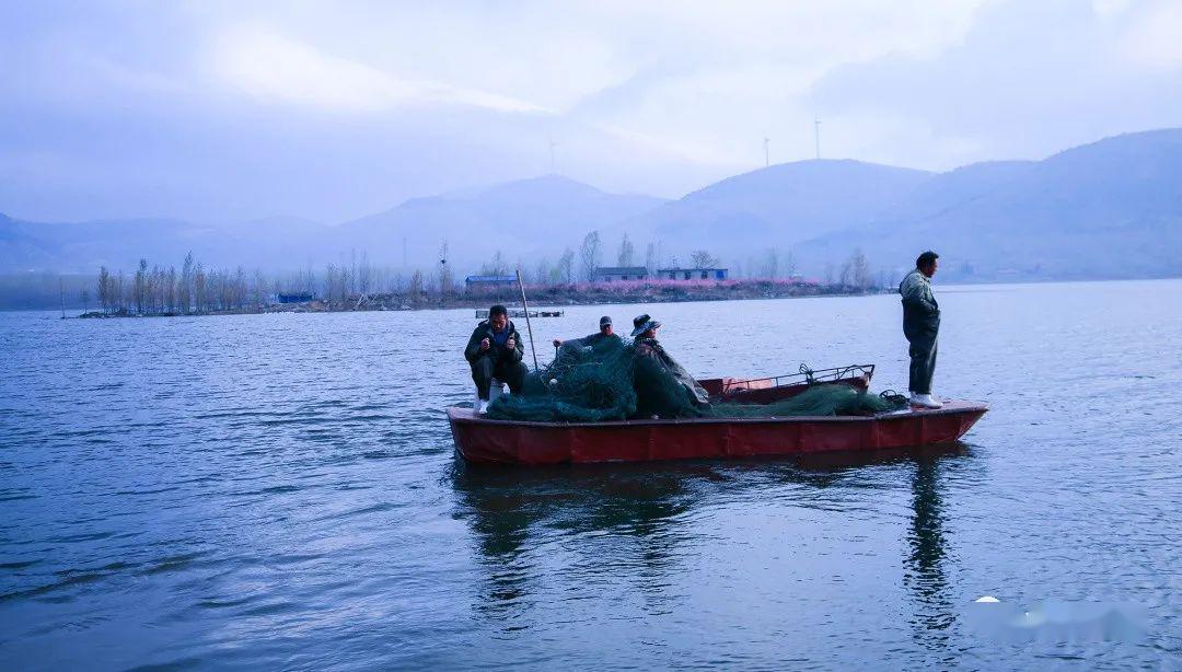 泗水龙湾湖桃花盛开的地方