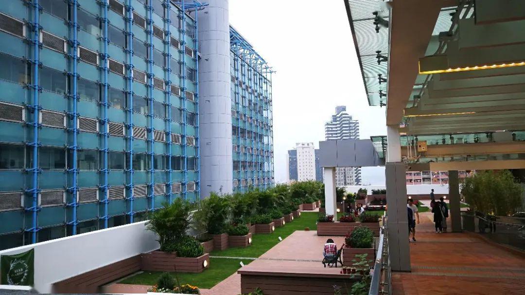 哈鲁2020录取再添5枚港前三offer港科大金融数学港中文经济学港大统计