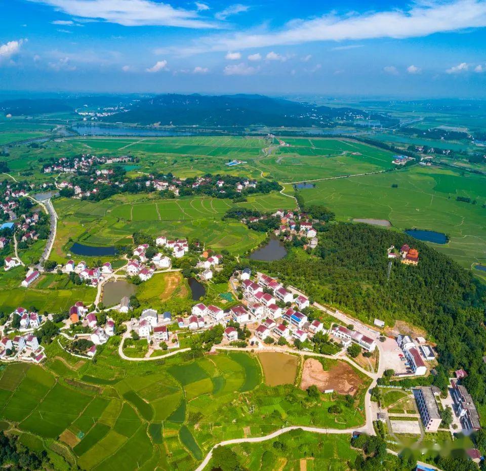 山欢水笑展新貌枞阳美丽乡村建设增强群众幸福感