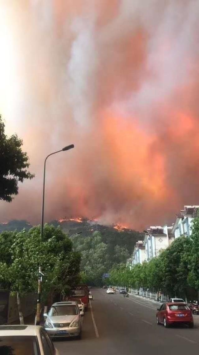 因发生森林火灾西昌市实行紧急交通管制