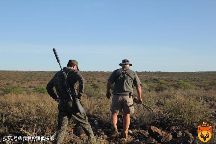 2020年1月份南非草原猎物狩猎