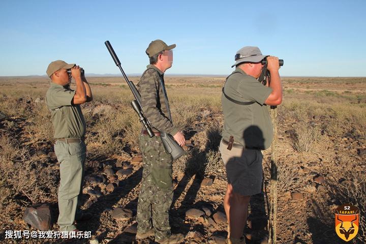 2020年1月份南非草原猎物狩猎
