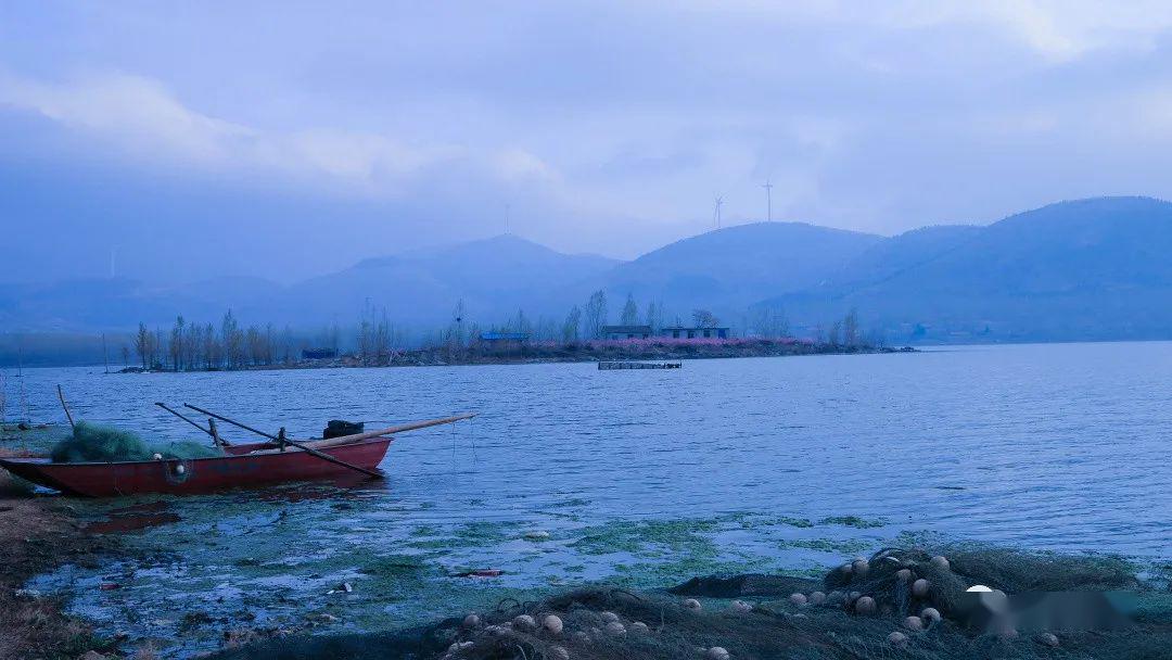 泗水龙湾湖桃花盛开的地方