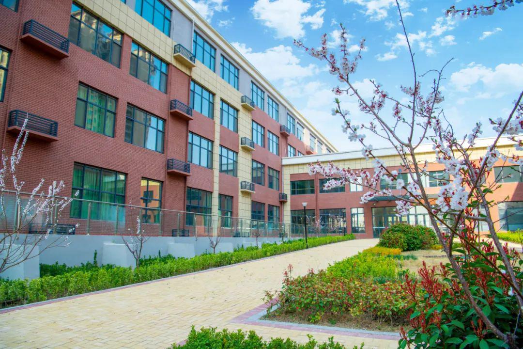 李沧新校抢先看伍青岛大枣园小学恒新理念下的幸福校园