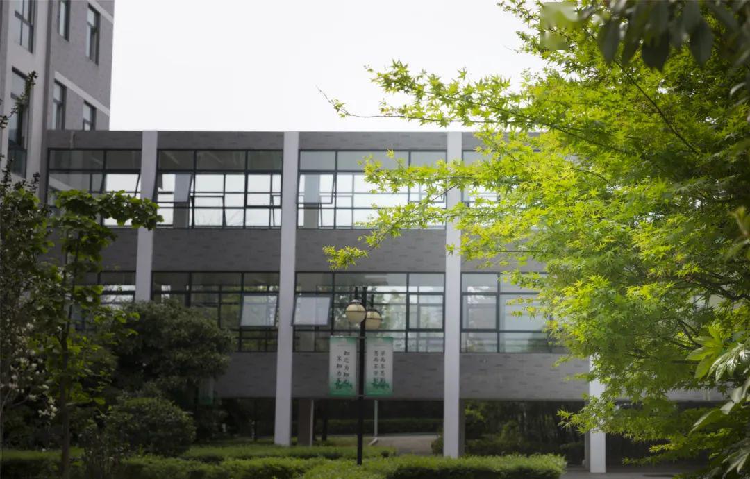 好想再见你我的丽中丽水中学我心目中的校园专题绘画征集令