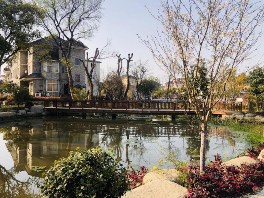 双浦美丽乡村悦享春双灵村丨板桥村