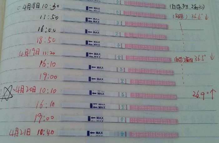 想怀孕却总错过排卵期?了解它发出的4个信号,让好孕快到来