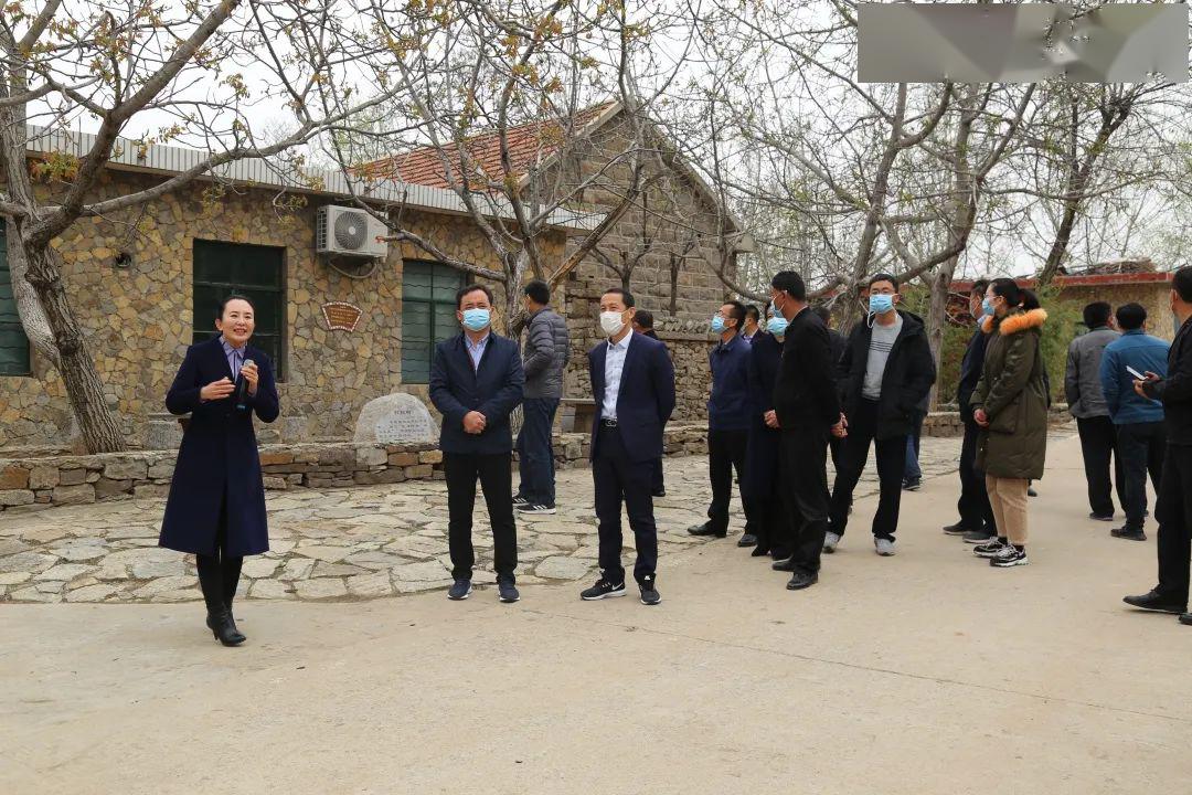 莒县高端网站建设_(莒县高端网站建设项目)