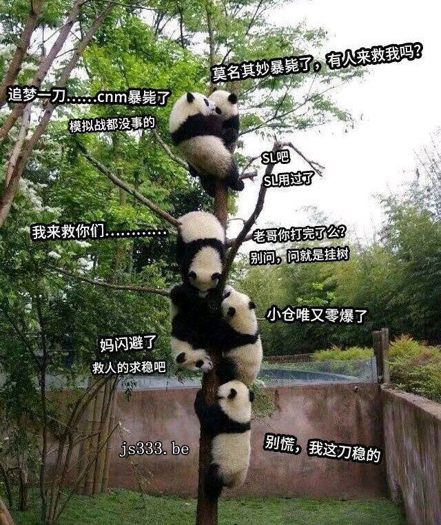 亚马逊的秘密公主连结挂树是什么挂树了要怎么下来