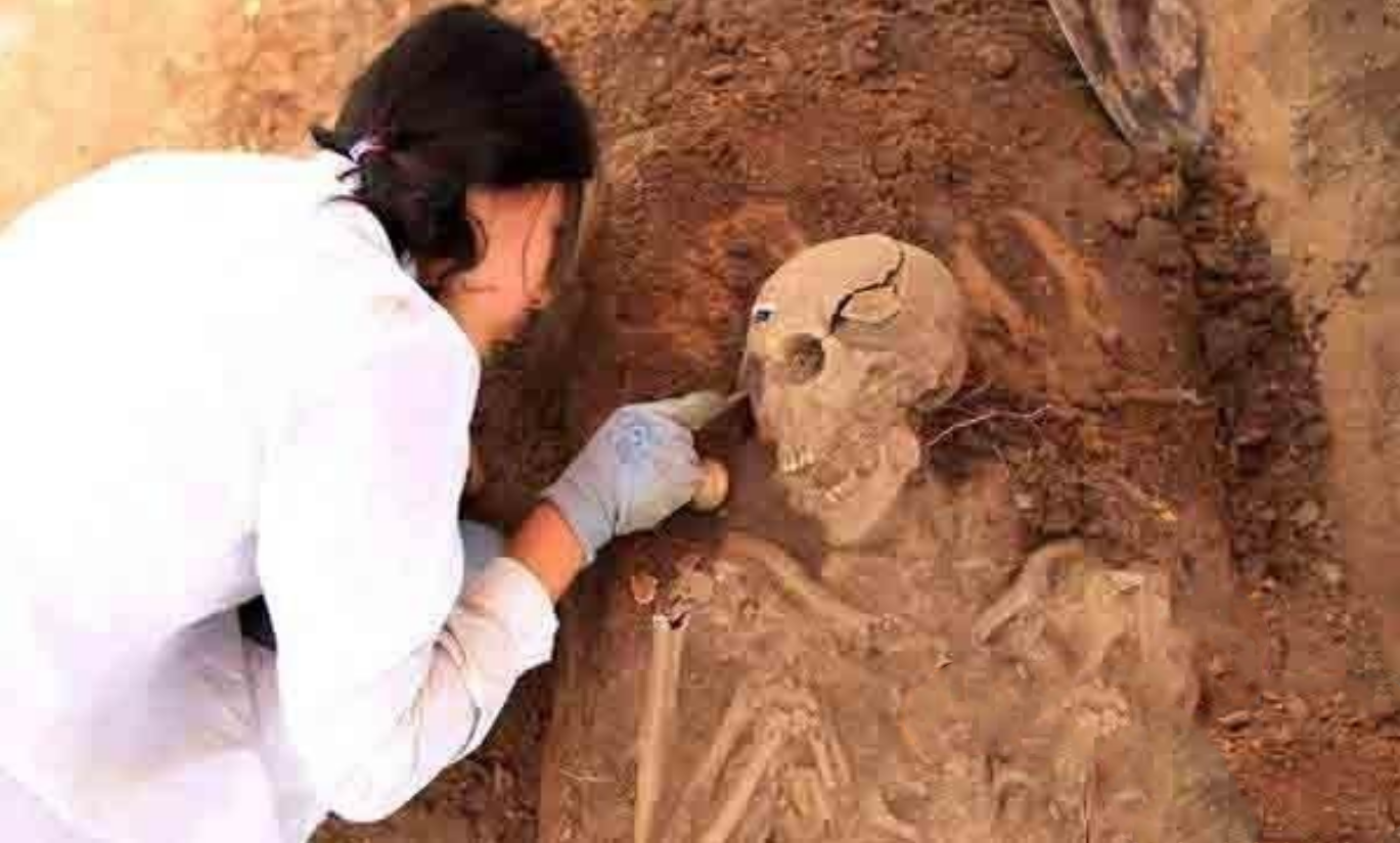 秦始皇驾崩,专家在他墓葬中发现一欧洲女子尸骨,专家这样解释