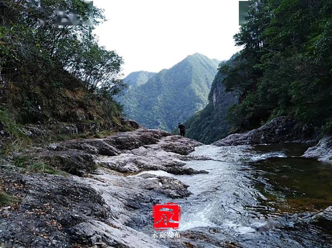 春游楠溪楠溪江源头绿意盎然春意正盛