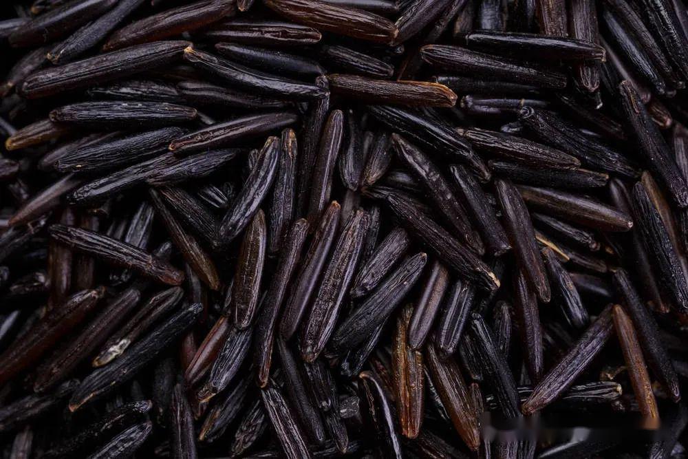 唐代有一种特有的食物——雕胡饭.