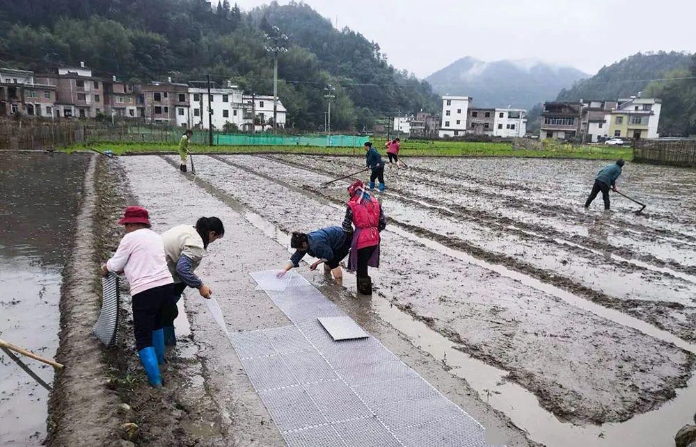 梅水鄉寺下鎮黃埠鎮陡水鎮社溪鎮營前鎮東山鎮人們的心情也漸漸舒展了