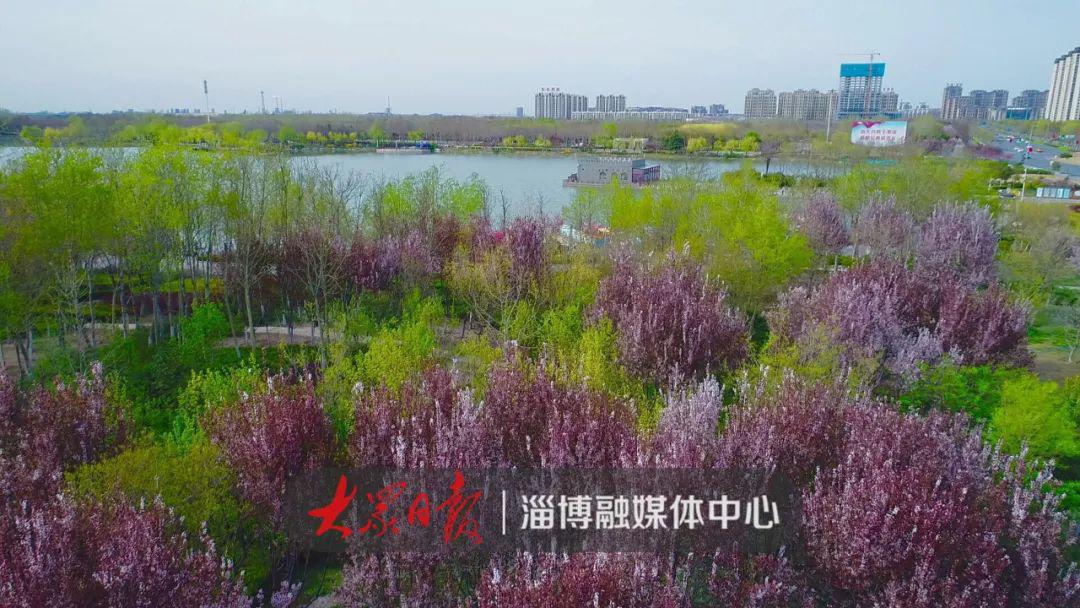 红莲湖公园是桓台县城乡河流水系建设的重要组成部分,公园总投资2.