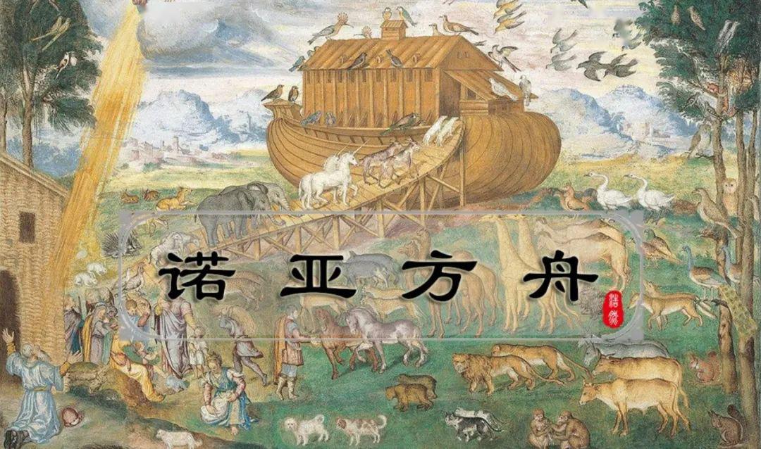 新冠病毒面前多名船员确诊没有什么船一定就是诺亚方舟