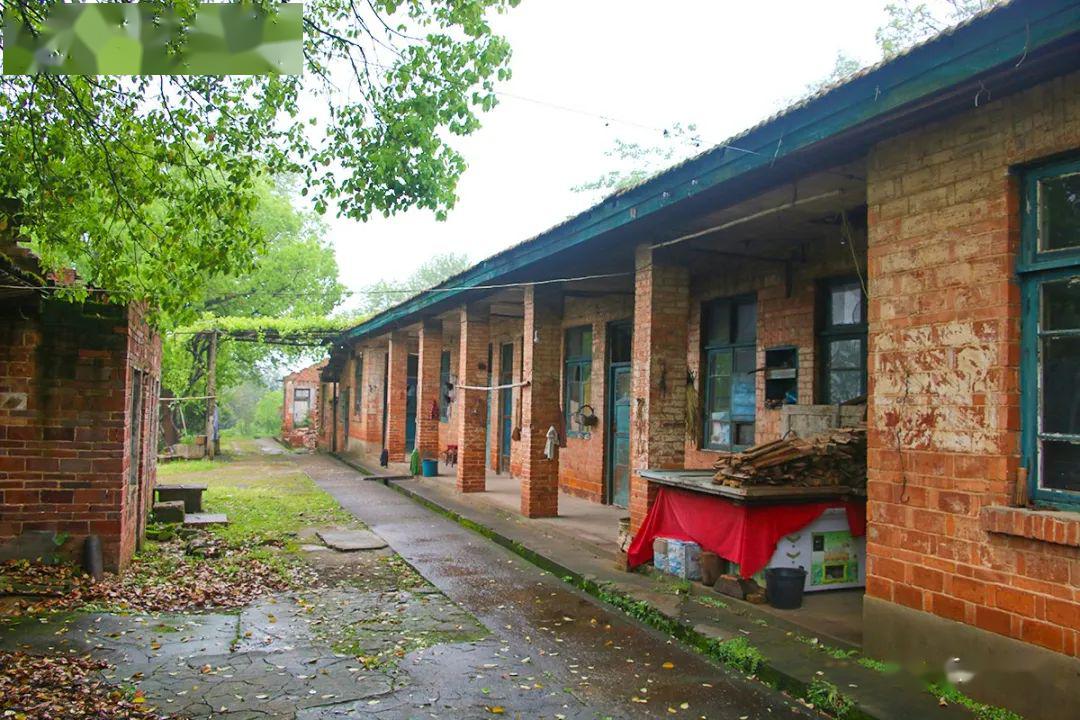 712矿区的工人俱乐部▲工人俱乐部内部▲曾经的售票处到处是散落的